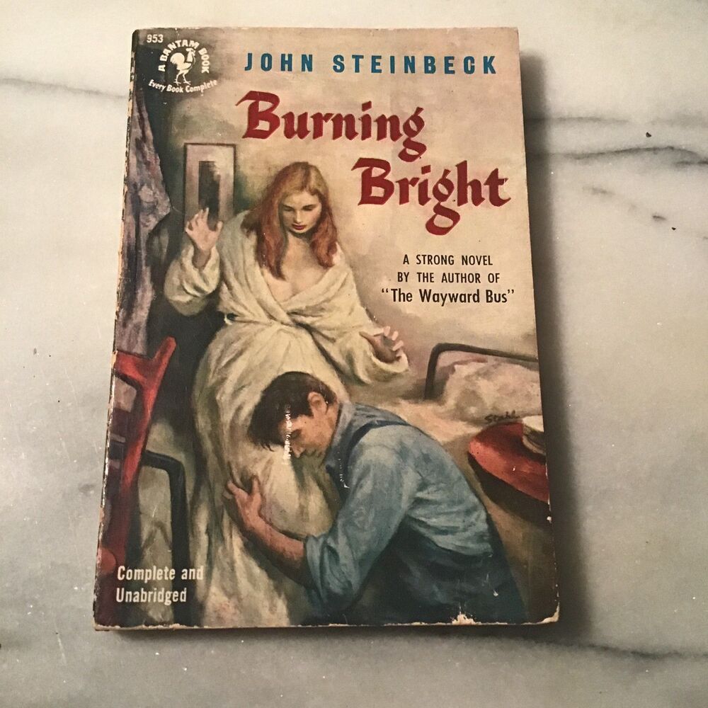 Vtg 1951 Burning Bright John Steinbeck Bantam 953 First Paperback Edition